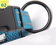 Load image into Gallery viewer, Adjustable Padded 3M Reflective Mesh Dog Collar
