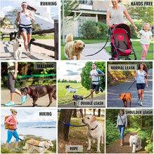 Load image into Gallery viewer, Hands Free Dog Leash with Zipper Pouch
